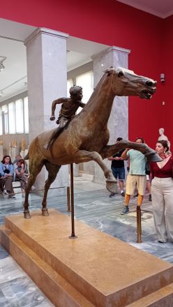 Den unge ryttaren till häst.