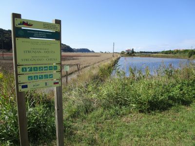 Naturreservatet Strunjan-Stjuža/Strugnano-Chiusa. I bakgrunden kampanilen i Piran.