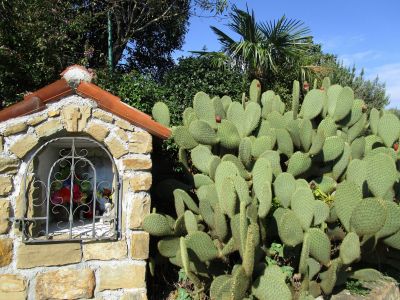 Andlighet och kaktusar.