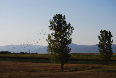 Tågresa mellan Plovdiv och Burgas.