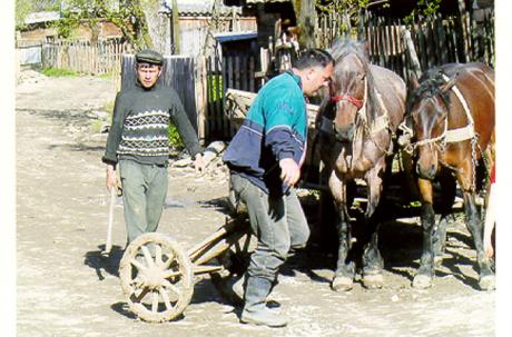 Poienile de sub Munte. Foto: Ulf Irheden.