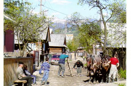 Poienile de sub Munte. Foto: Ulf Irheden.