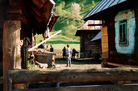 Poienile de sub Munte.