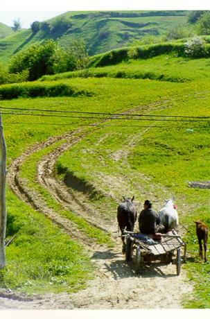 I närheten av Vişeu de Sus. Foto: Ulf Irheden.