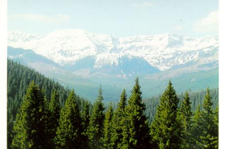 Vid Prislop-passet. Foto: Ulf Irheden.