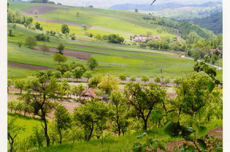 På väg ner från Gernik kunde vi njuta av denna utsikt. Foto: Ulf Irheden.